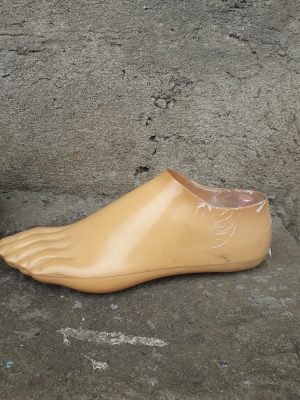 Prosthetic Foot – Plastic